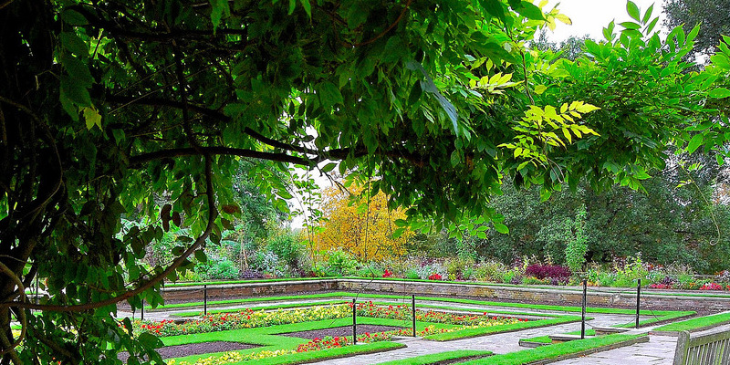 The best way to Plant Long Beach a Paper Birch