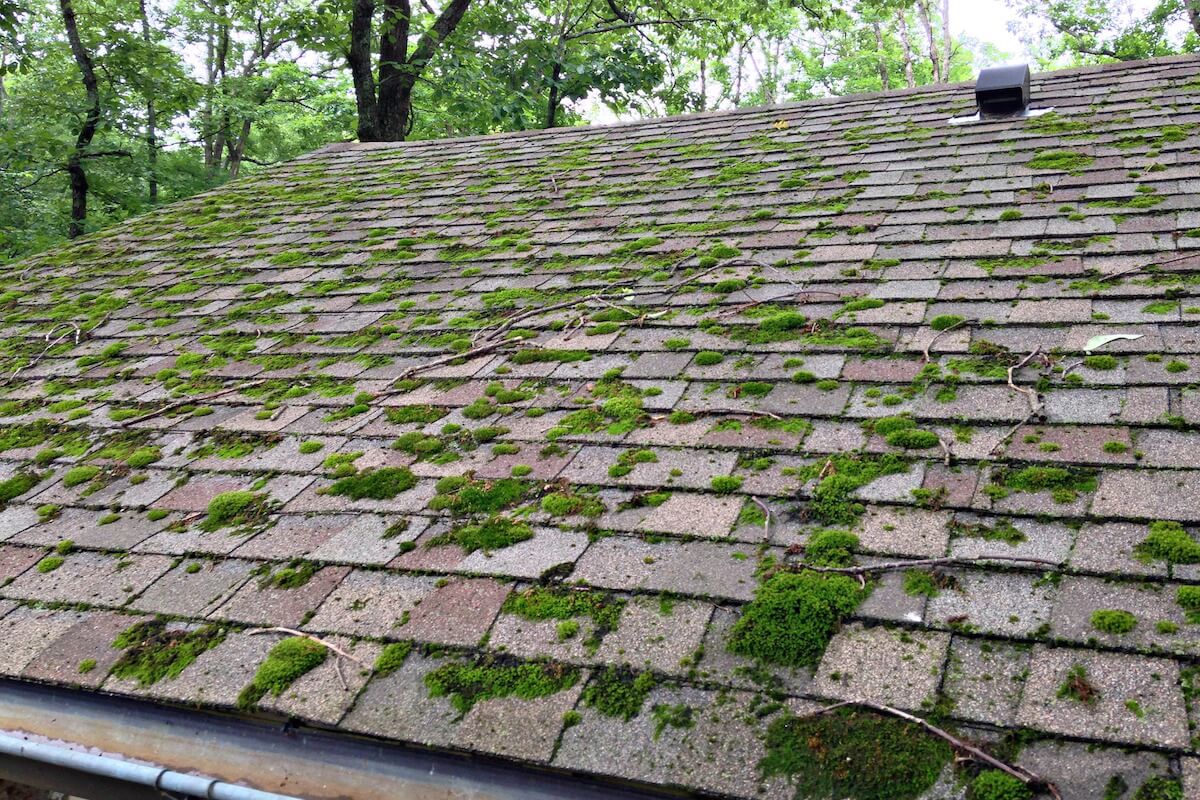 How to Remove Moss from Your Roof