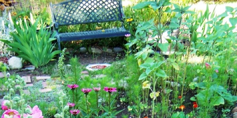 How to Grow Strawberries in a Wood Pallet